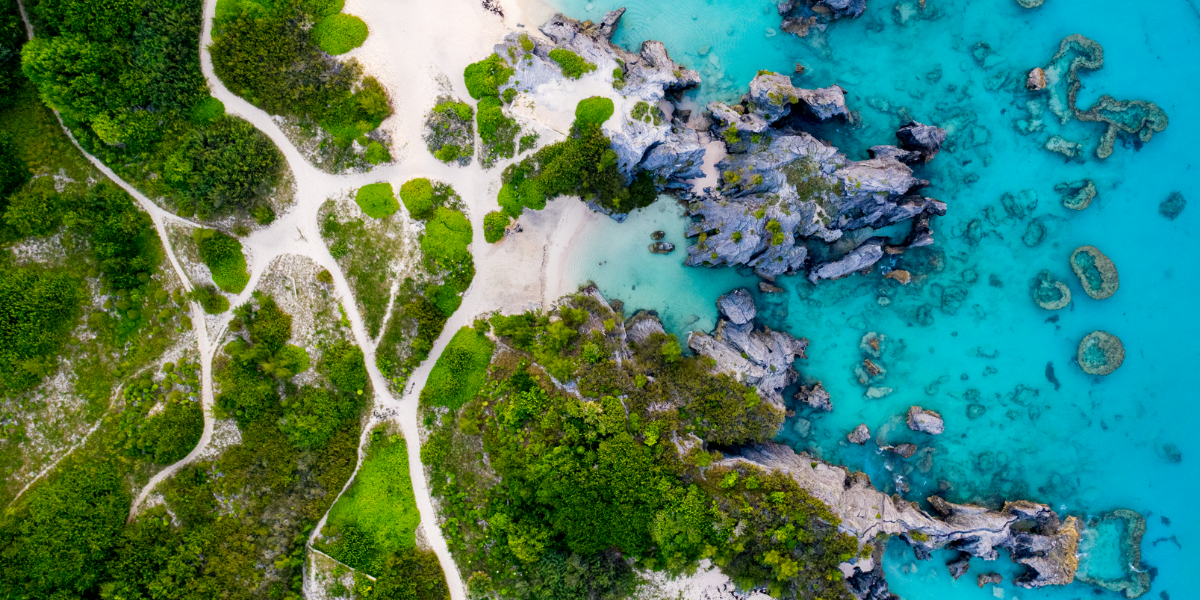 Bermuda reinsurance 